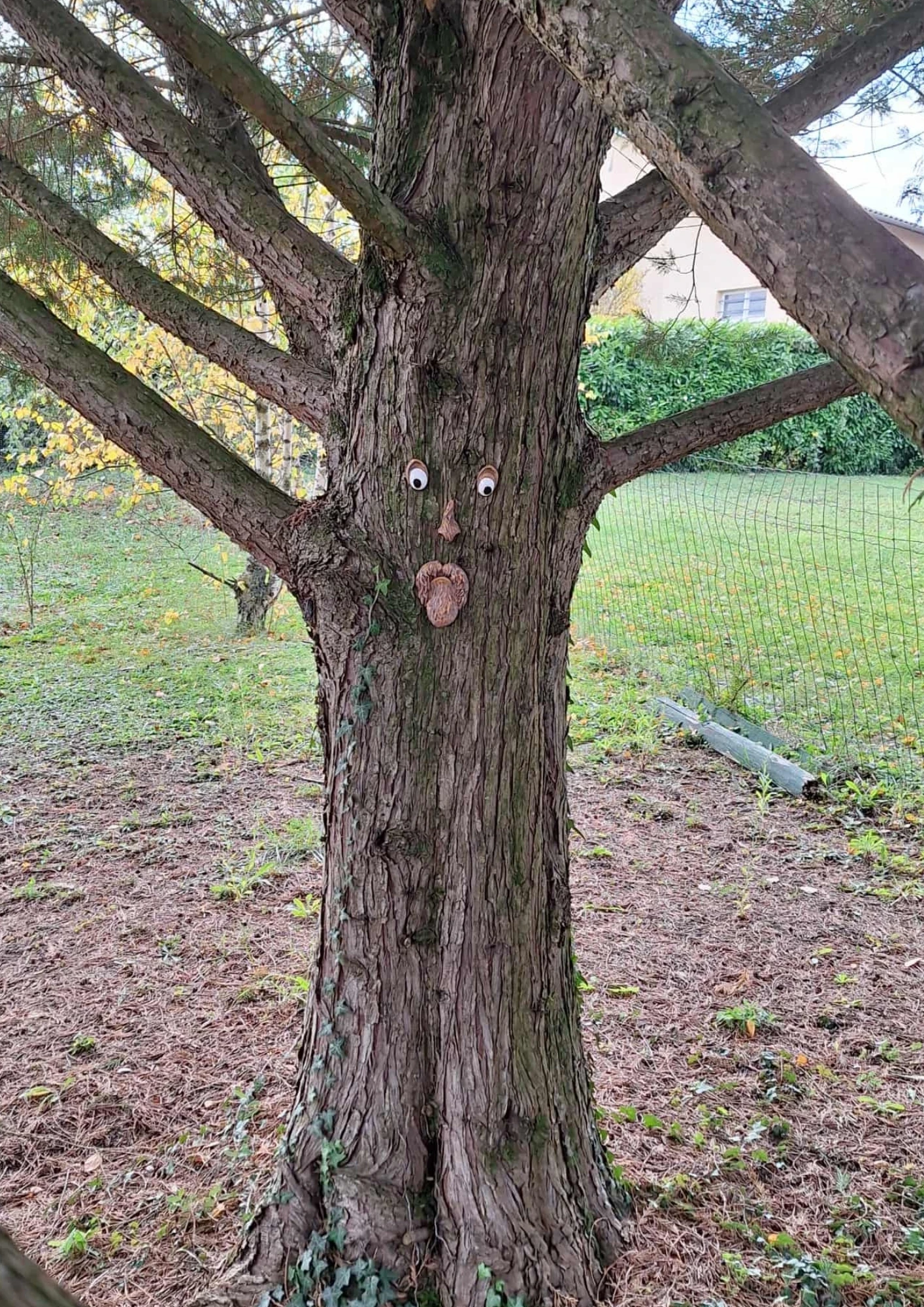 Funny face decor - Enchanted tree effect attachment! Durable resin – photo 8